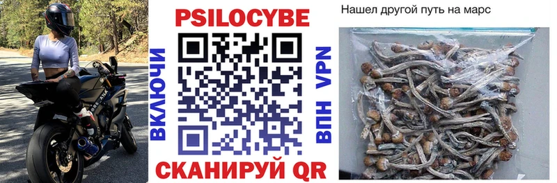 купить наркотик  Верхнеуральск  Галлюциногенные грибы MAGIC MUSHROOMS 